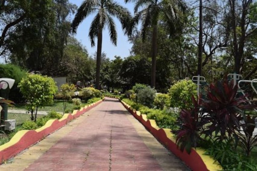 Hirwa Van Garden-2